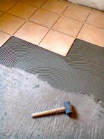 /album/komuves-ferko/fenykep0004-jpg/