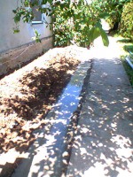 /album/komuves-ferko/fenykep0059-jpg/