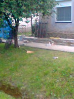 /album/komuves-ferko/fenykep0072-jpg/