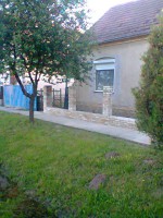 /album/komuves-ferko/fenykep0077-jpg/