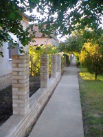 /album/komuves-ferko/fenykep0081-jpg/